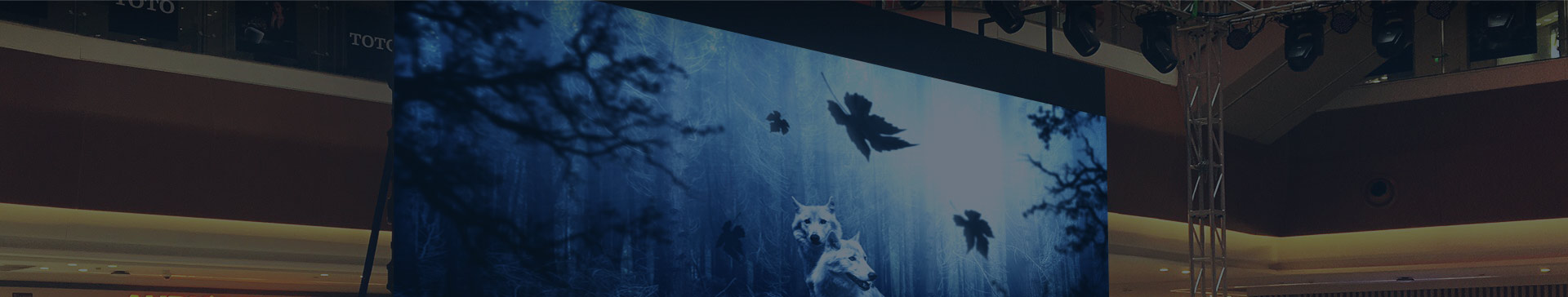 深圳市銀瀚智顯技術(shù)有限公司